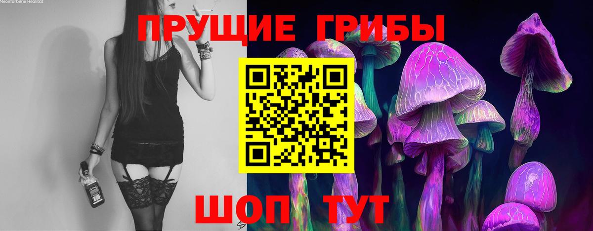 Галлюциногенные грибы Psilocybine cubensis Анапа